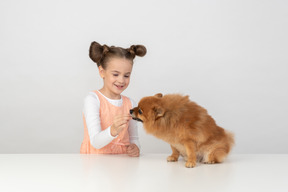 Ecco, amico cagnolino