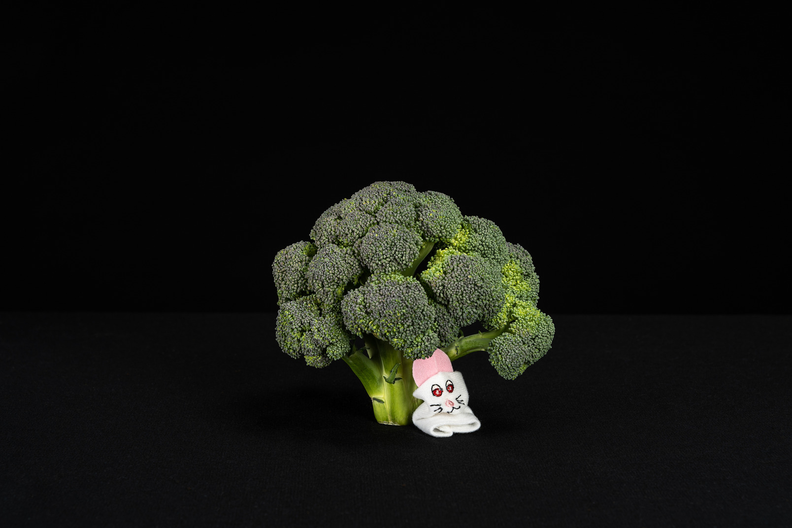 White toy rabbit under broccoli tree in black background