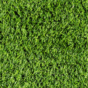 Texture de l'herbe verte