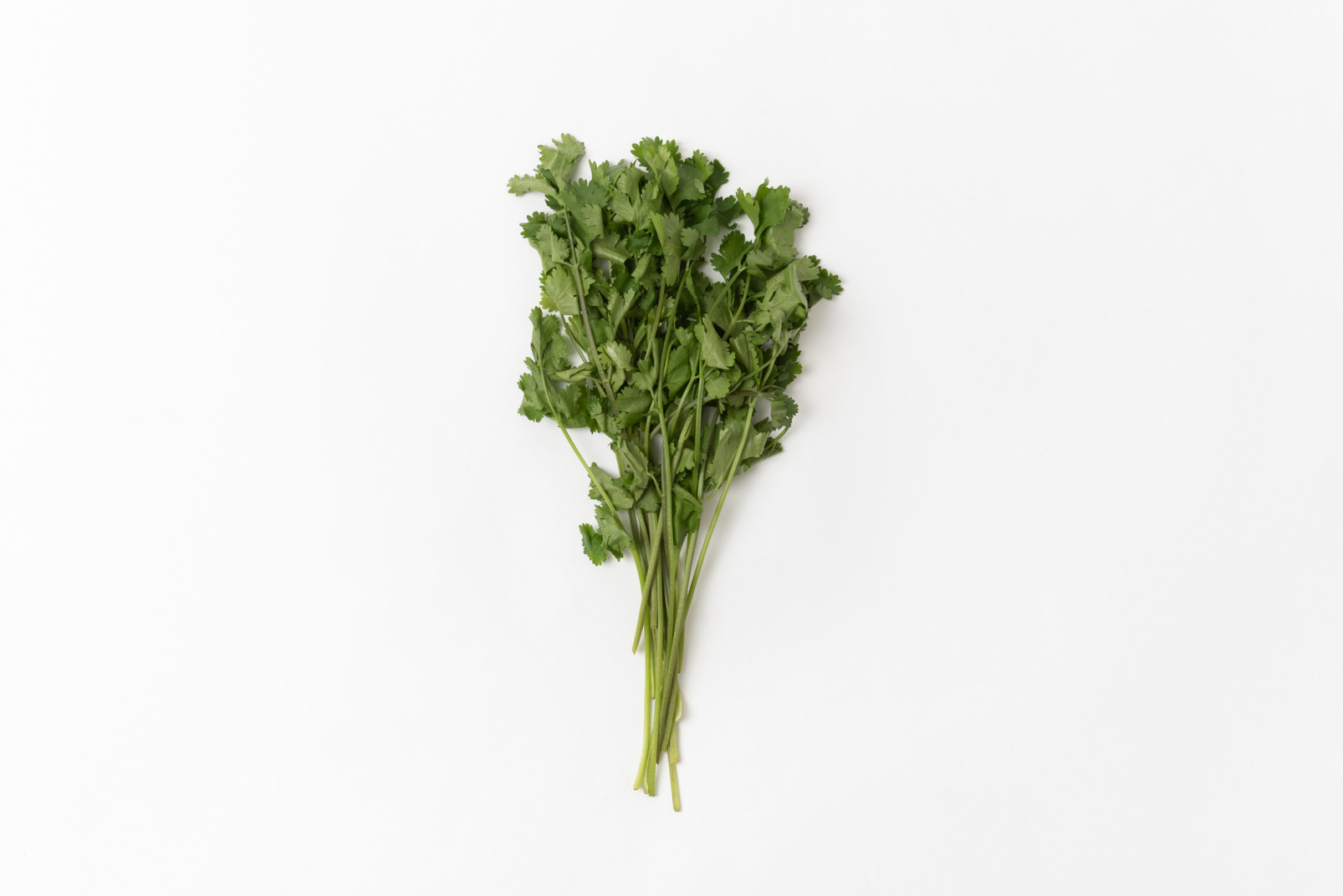 Parsley bunch on white background