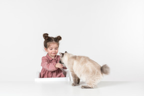 Garota de bebê criança sentada na cadeira de alimentação do bebê e acariciando um gato