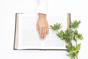 Mano femenina tirada en el libro abierto cerca de la planta verde