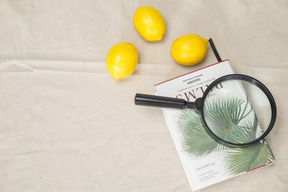 Book, magnifying glass and lemons