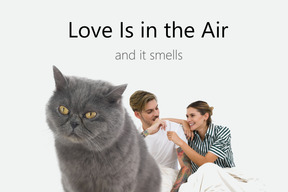 British shorthair cat against loving couple fond of each other