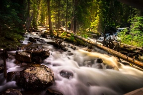 Nature