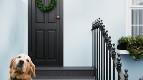 A dog sitting in front of a black door