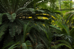 Wintergarten ist ein ort zum genießen