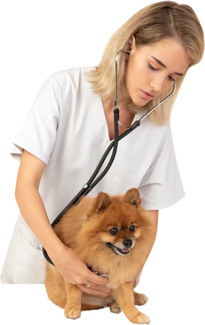 Healthcare