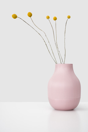 Dried flowers in a pink ceramic vase