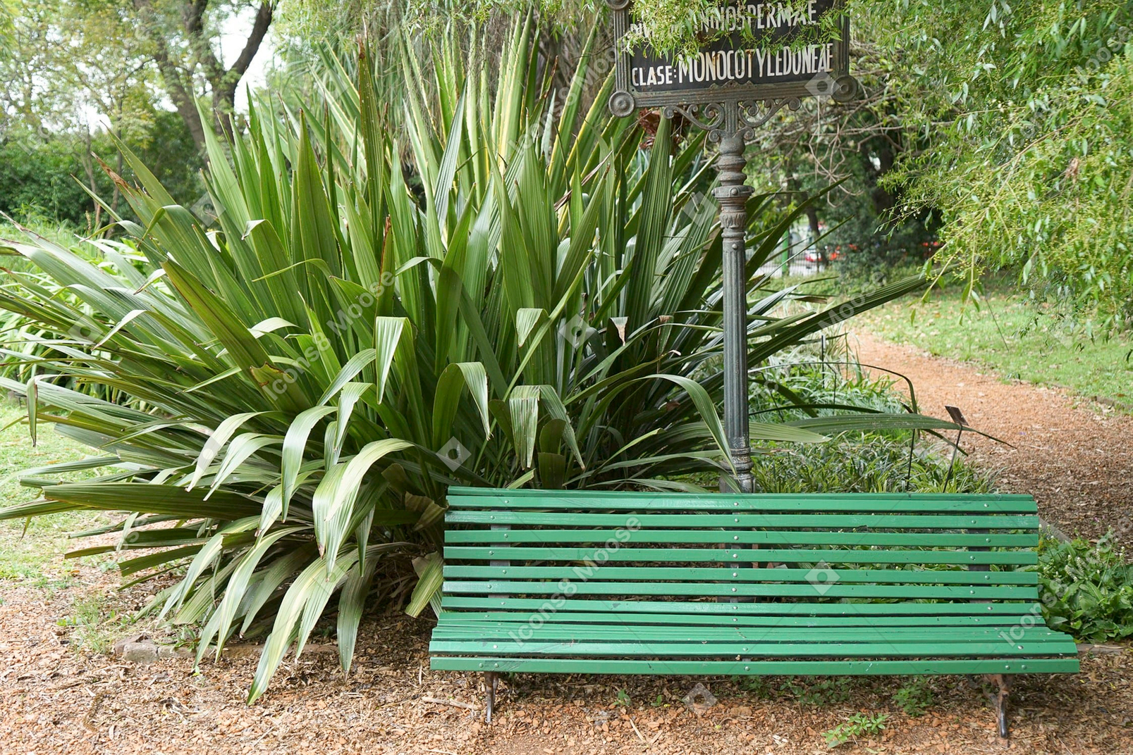 A bench in the garden