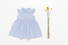 Blue dress and dried twig near it