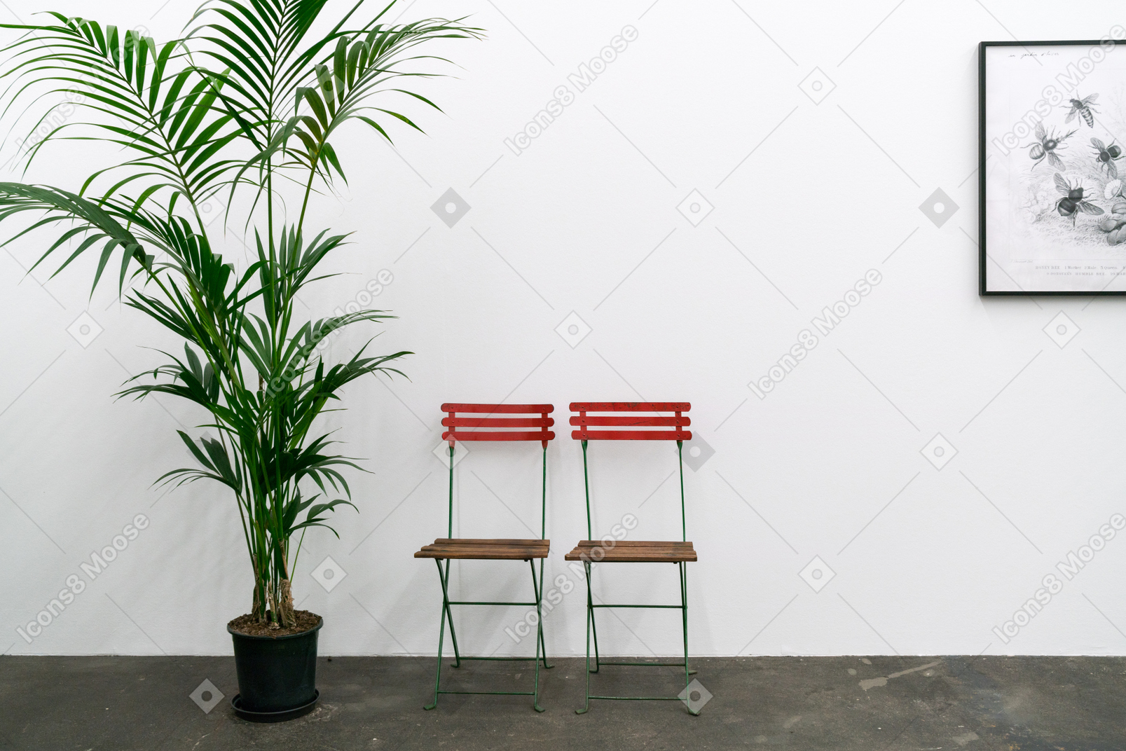 의자 두 개, 화분에 심고 벽에 액자 그림