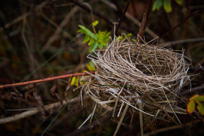 Naturaleza