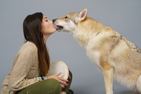 Nahaufnahme eines hundes, der die nase ihrer meisterin leckt