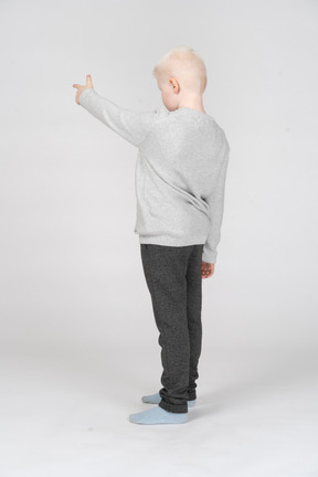 Back view of a boy pointing at something