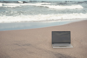 在海滩上写博客