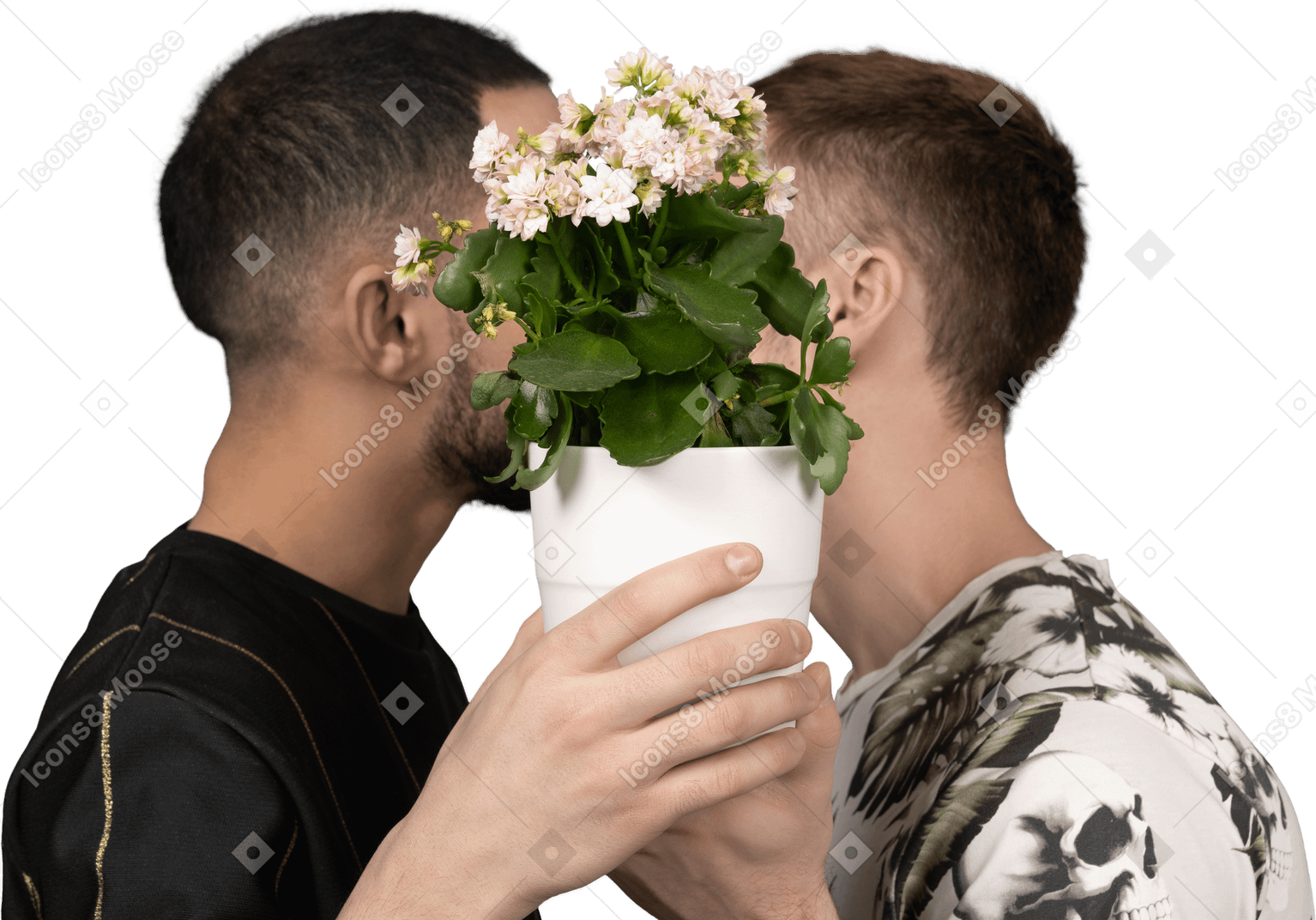 Close-up of two young man holding a flower pot to cover their faces