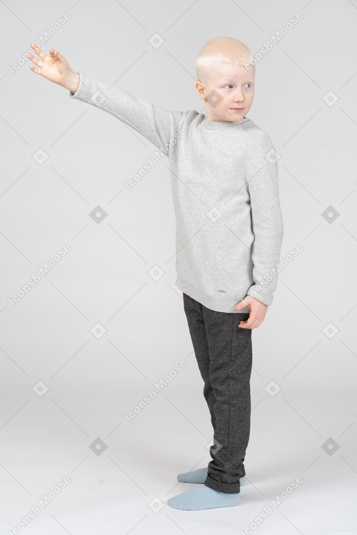 Little boy raising his hand
