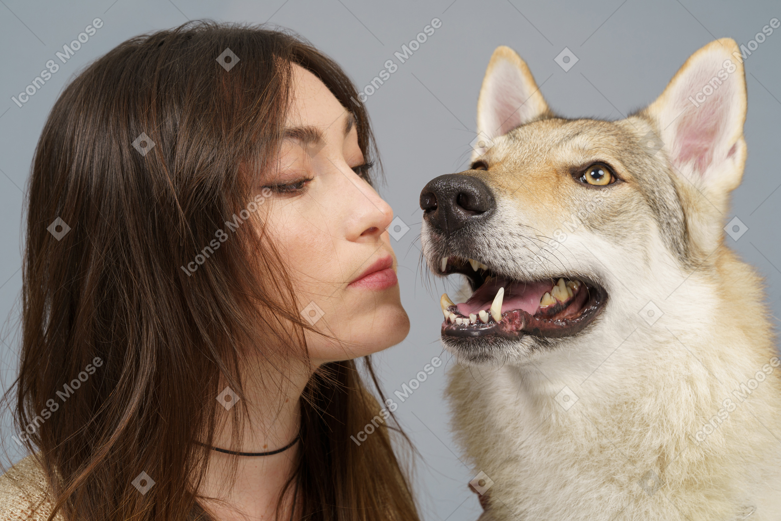 그녀의 개를 키스하는 여성 마스터의 클로즈업