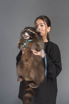 アライグマを保持している若い女性