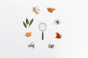 Circle of herbs and spices with magnifying glass in centre